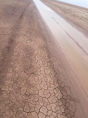 سبزوار-کویر-مزینان-سبزوار-379139