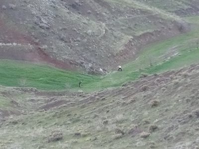 میانه-روستای-قاسم-دره-380394