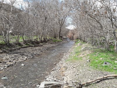 کاشان-روستای-وادقان-380649