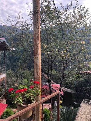 کلبه جنگلی کیدوان