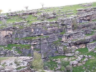 سنندج-روستای-تنگی-سر-381438