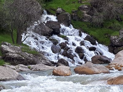 کامیاران-روستای-تنگی-ور-381439