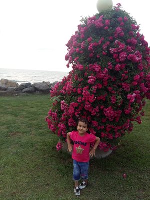 بابلسر-شهرک-دریاکنار-382990