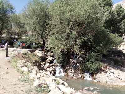 هفشجان-گردشگاه-چشمه-زنه-383970