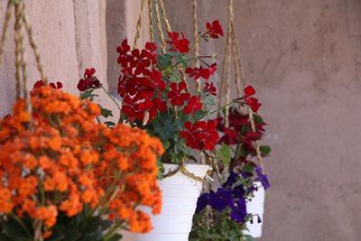 کوچصفهان-مجموعه-بومگردی-دیلباب-384028