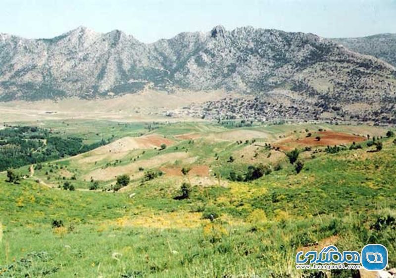 روستای دزلی