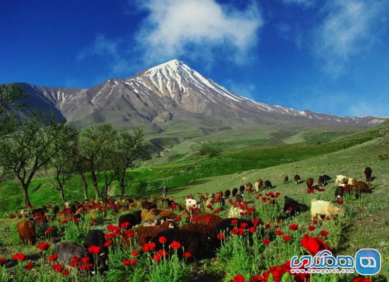 روستای پلور