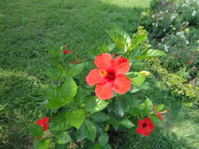 بابلسر-شهرک-دریاکنار-384465