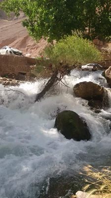 جونقان-باغ-رستم-جونقان-384631