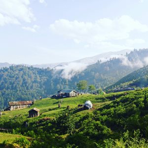 ماسال-بام-سبز-ماسال-385230
