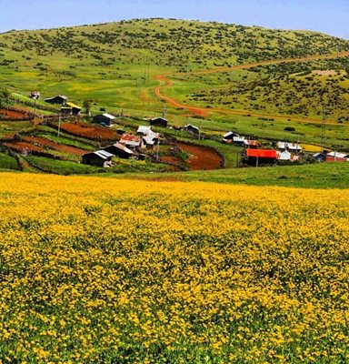 روستای چاک دشت گیلان