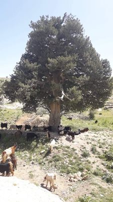 رامجرد-روستای-تاریخی-بنی-یکه-386478