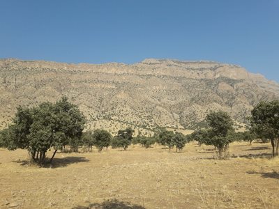 روستای بابامحمود وسطی