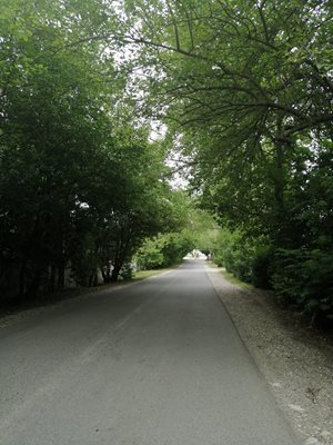نوشهر-روستای-لتینگان-388760