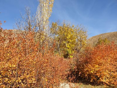 کرج-روستای-شهرستانک-389955