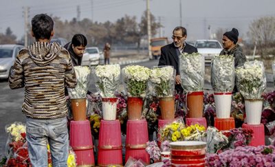 تهران-بازار-گل-بهشت-زهرا-390497