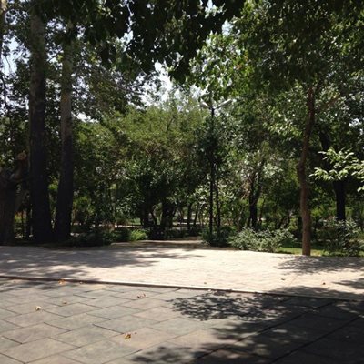 تهران-بوستان-انارستان-390844