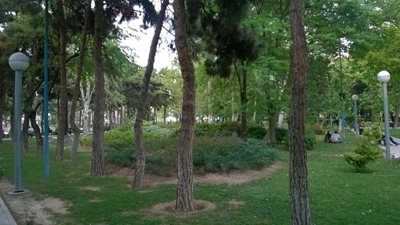 تهران-پارک-ستارخان-391222