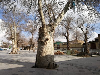 بروجرد-امامزاده-جعفر-بروجرد-392325
