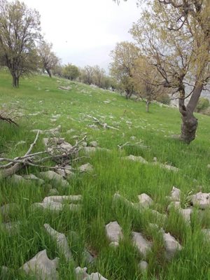 اندیکا-روستای-کوشک-اندیکا-395066