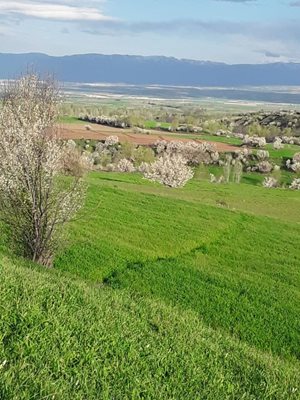 اردبیل-روستای-قلعه-جوق-سبلان-395071