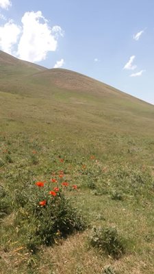 خلخال-روستای-مجره-395936