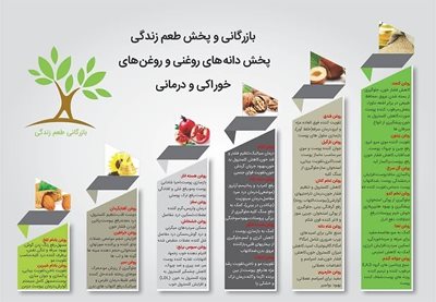 تهران-بازرگانی-طعم-زندگی-395986