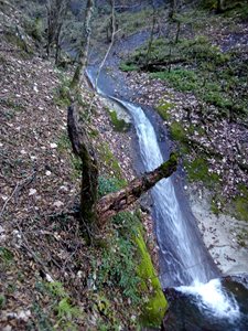 چوبر-آبشار-ریشو-چوبر-397751