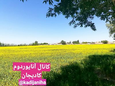 سراب-روستای-کادیجان-398766