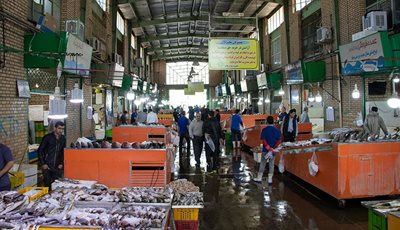تهران-بازار-ماهی-بعثت-399480