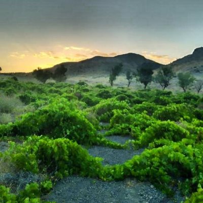 روستای علیک