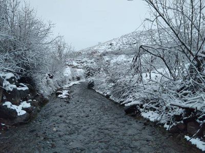 مشگین-شهر-روستای-جبدرق-401135