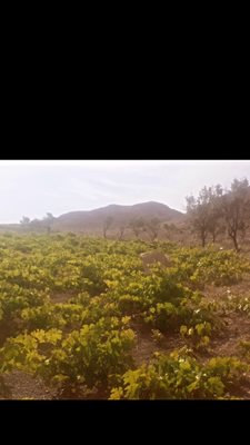 سبزوار-روستای-علیک-401804