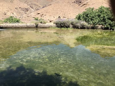 نطنز-روستای-ولوگرد-402464