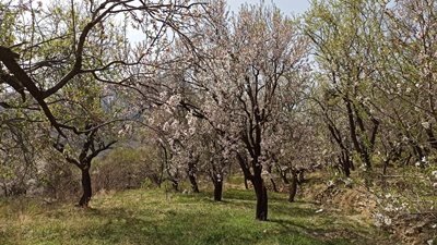 کاشان-روستای-اسحاق-آباد-412395