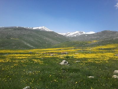 اردبیل-روستای-جمادی-412734