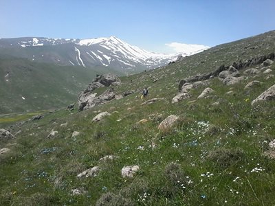 اردبیل-روستای-جمادی-412733