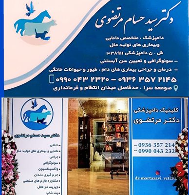 کلینیک دامپزشکی دکتر مرتضوی