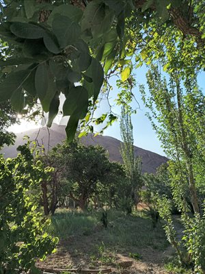 روستای اویج