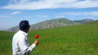 گرمی-کوه-قولی-داشی-413626