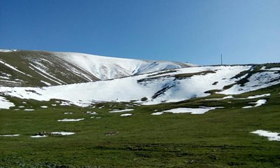گرمی-کوه-قولی-داشی-413623