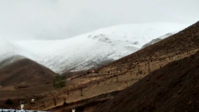 گرمی-کوه-قولی-داشی-413630