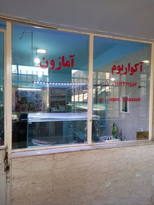 آکواریوم آمازون