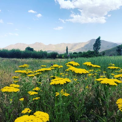 آبسرد-روستای-آرو-414548