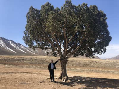 روستای آرو