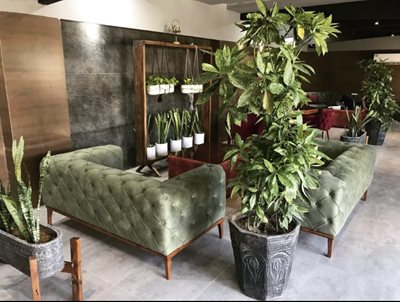شهریار-کافه-رستوران-ورسای-425631