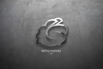 آژانس مسافرتی سپید پرواز