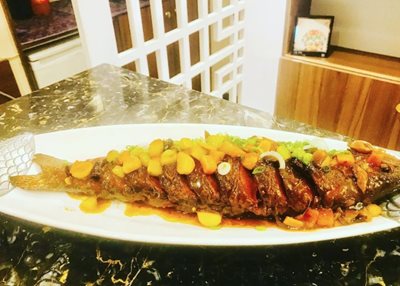 تهران-رستوران-تی-بی-آی-427036