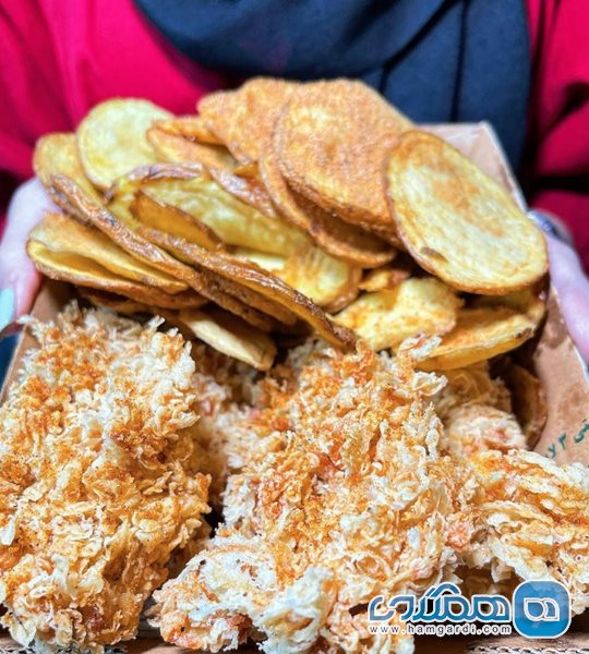 فست فود باروس برگر