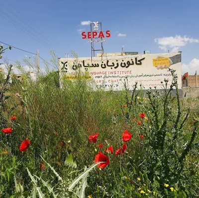 شهر-صدرا-کانون-زبان-سپاس-429883